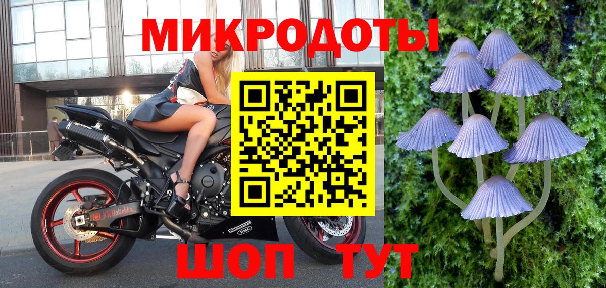 Галлюциногенные грибы MAGIC MUSHROOMS  Галлюциногенные грибы Magic Shrooms  Ноябрьск  Вход с VPN 